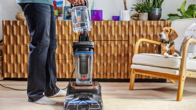 Revitalize Your Home: Top Upholstery Cleaners for Quick Stain Removal | dewa kslot777, the dog house pragmatic, octobet slot(图1) Revitalize Your Home: Top Upholstery Cleaners for Quick Stain Removal