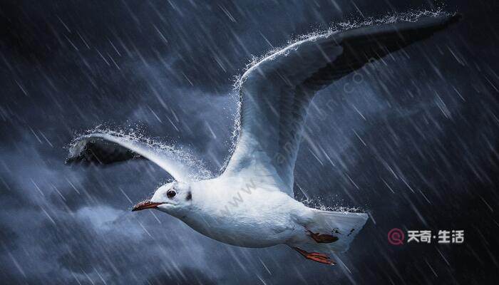 In what order is the lesson Thunderstorm written? In what order does the author describe the lesson Thunderstorm?(图2) In what order is the lesson on Thunderstorm written?