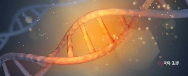 What are the backbone components of polynucleotides? What are the backbone components of polynucleotides?(图1) The backbone components of polynucleotides are