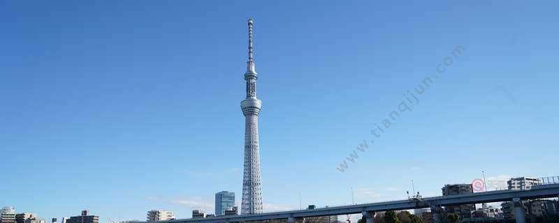 Which is taller, the Skytree or Tokyo Tower