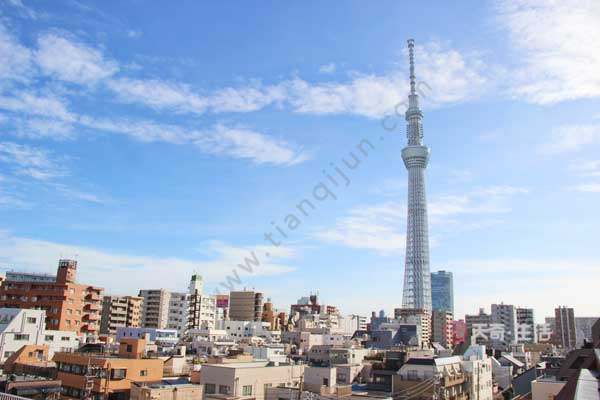 Which is taller, the Skytree or the Tokyo Tower