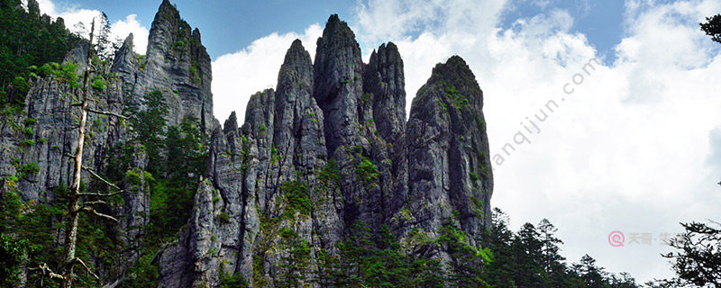 What are the main attractions in Shennongjia? What are the main attractions in Shennongjia?(图1) What are the main attractions in Shennongjia