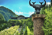 What are the main attractions in Shennongjia? What are the m