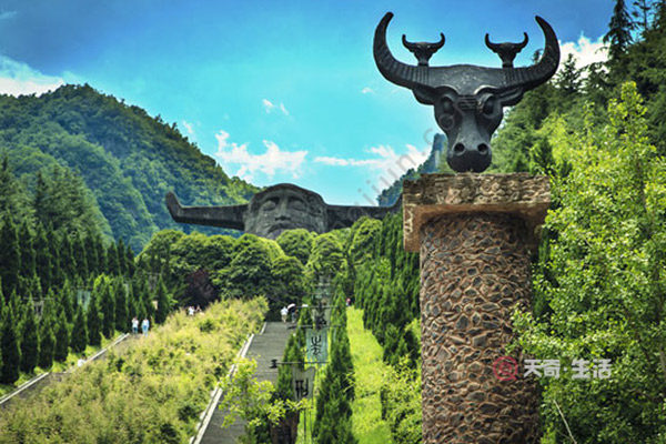 What are the main attractions in Shennongjia? What are the main attractions in Shennongjia?(图2) What are the main attractions in Shennongjia