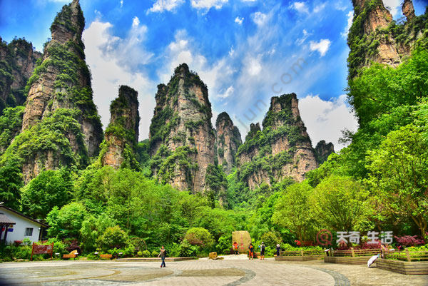 What is included in the Zhangjiajie ticket?