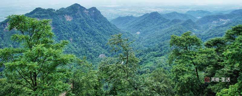 How long does it take to visit Qingcheng Mountain? How long does it take to visit Qingcheng Mountain Scenic Area?(图1) How long does it take to visit Qingcheng Mountain