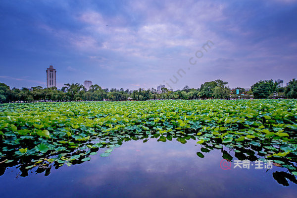 What is there to do in Kunming? Classic one-day tour in Kunming(图2) What is there to do in Kunming City