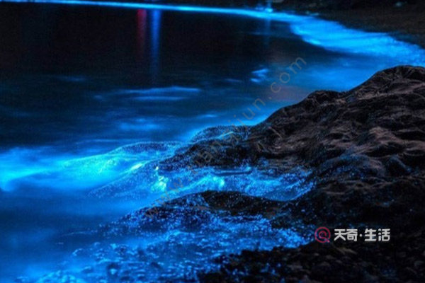 Where else can you travel in Fujian besides Xiamen? Where can you travel in Fujian besides Xiamen(图2) Where else to travel in Fujian besides Xiamen