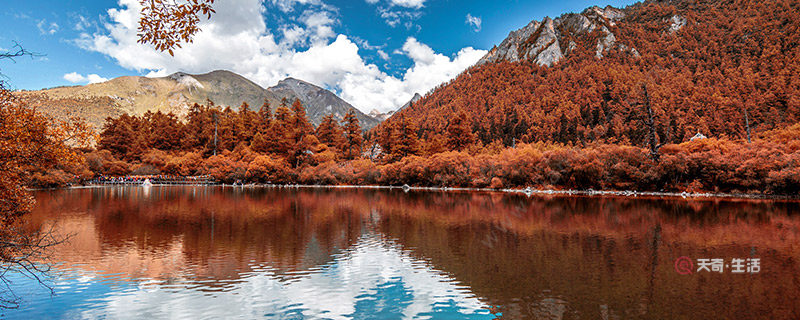 What are the places suitable for travel and daze? What are the places suitable for travel and daze?(图1) A place suitable for travel and daze