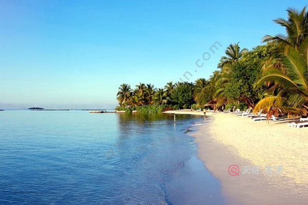 What are the stars of Full Moon Island in Maldives? What are the stars of Full Moon Island in Maldives?(图2) The stars of Full Moon Island in the Maldives