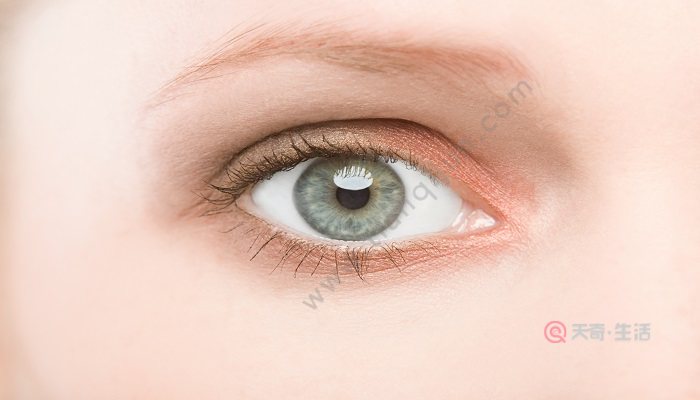 Is eye primer used after foundation? In which step is eye primer used?(图4) Is eye primer used after foundation