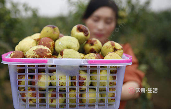 Heze Specialty Fruit