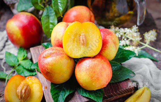 What are the special fruits in Jiaxing