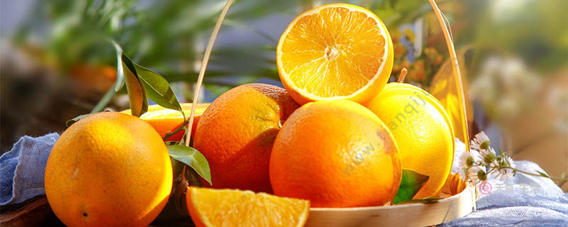 What are the special fruits in Jiaxing